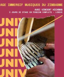Stage Immersif dédié aux Musiques du Zimbabwe